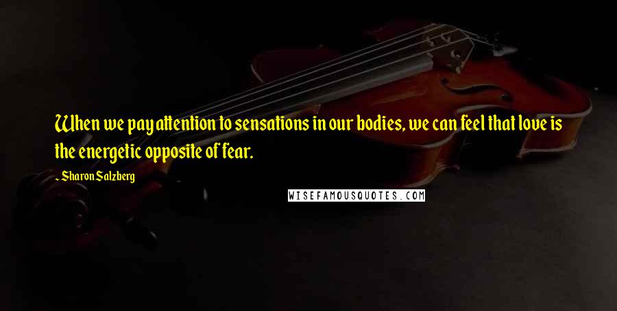 Sharon Salzberg Quotes: When we pay attention to sensations in our bodies, we can feel that love is the energetic opposite of fear.