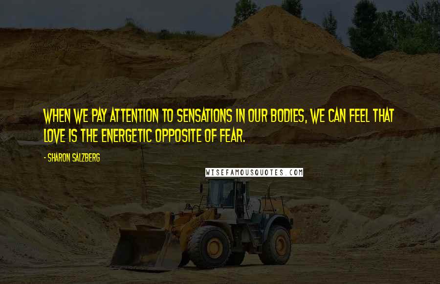 Sharon Salzberg Quotes: When we pay attention to sensations in our bodies, we can feel that love is the energetic opposite of fear.