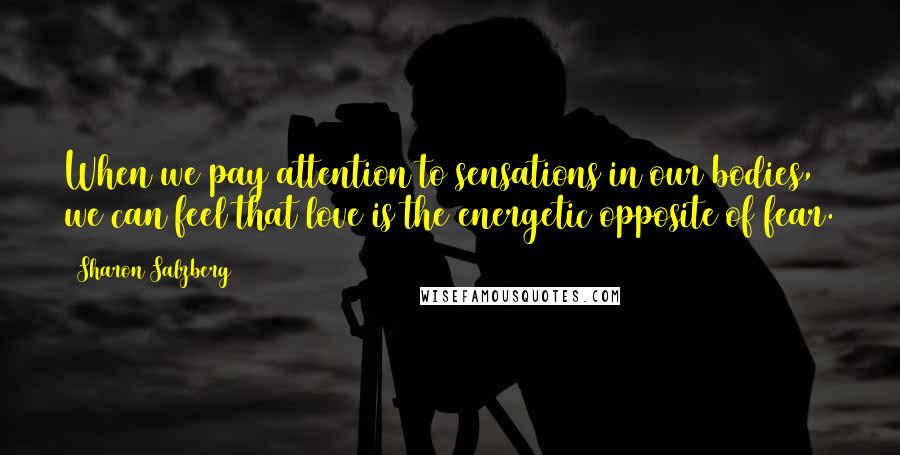 Sharon Salzberg Quotes: When we pay attention to sensations in our bodies, we can feel that love is the energetic opposite of fear.