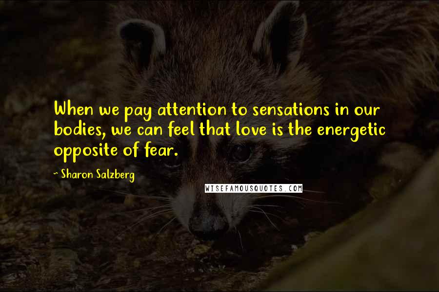 Sharon Salzberg Quotes: When we pay attention to sensations in our bodies, we can feel that love is the energetic opposite of fear.