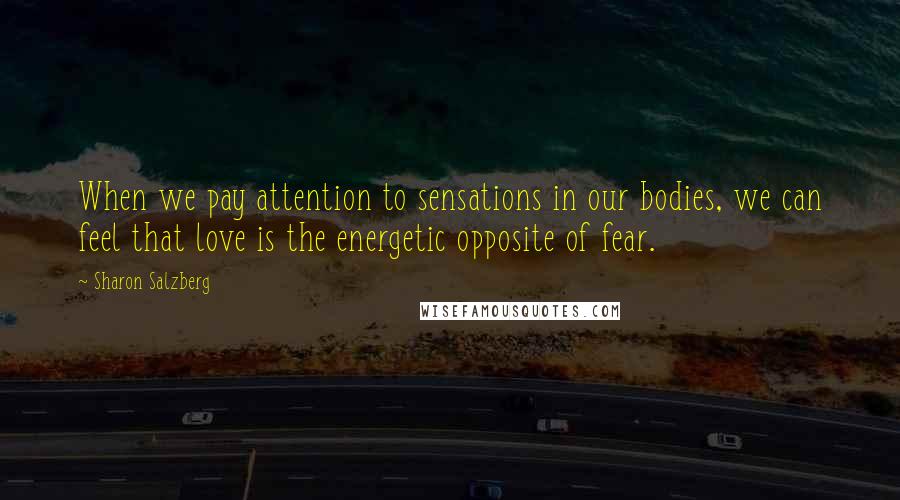 Sharon Salzberg Quotes: When we pay attention to sensations in our bodies, we can feel that love is the energetic opposite of fear.