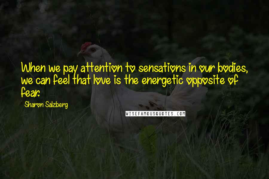 Sharon Salzberg Quotes: When we pay attention to sensations in our bodies, we can feel that love is the energetic opposite of fear.