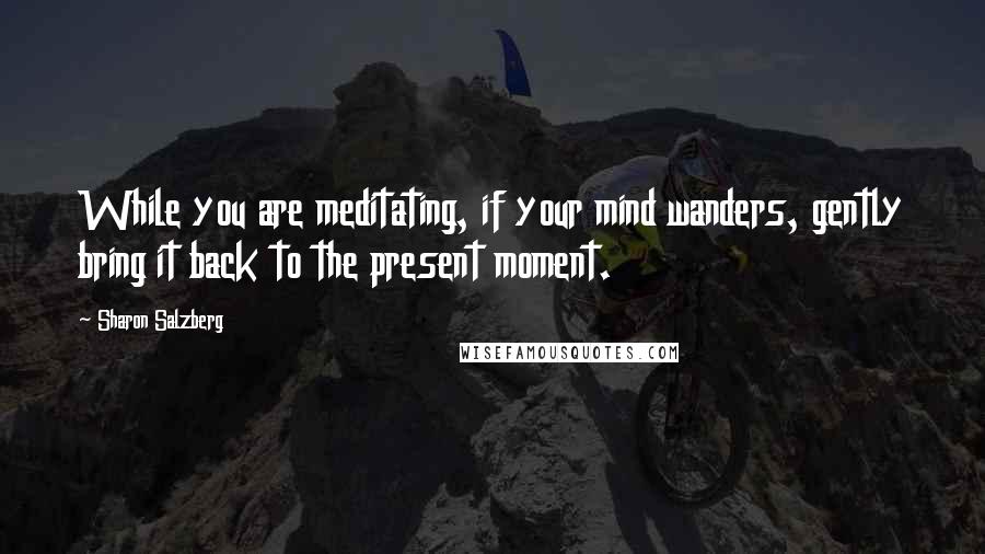 Sharon Salzberg Quotes: While you are meditating, if your mind wanders, gently bring it back to the present moment.