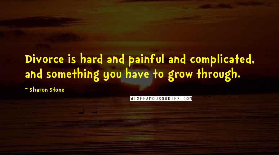 Sharon Stone Quotes: Divorce is hard and painful and complicated, and something you have to grow through.