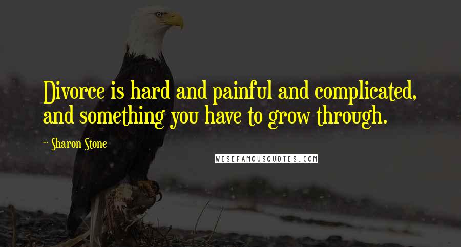 Sharon Stone Quotes: Divorce is hard and painful and complicated, and something you have to grow through.