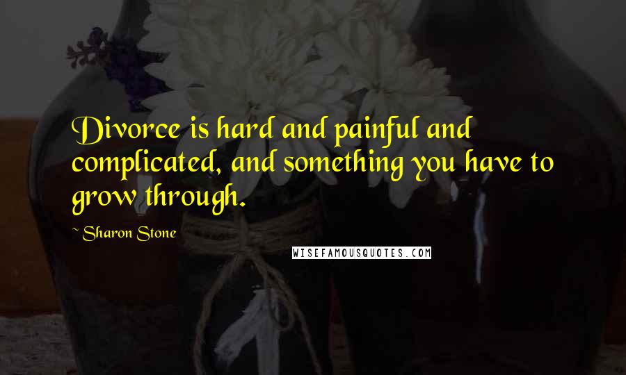 Sharon Stone Quotes: Divorce is hard and painful and complicated, and something you have to grow through.