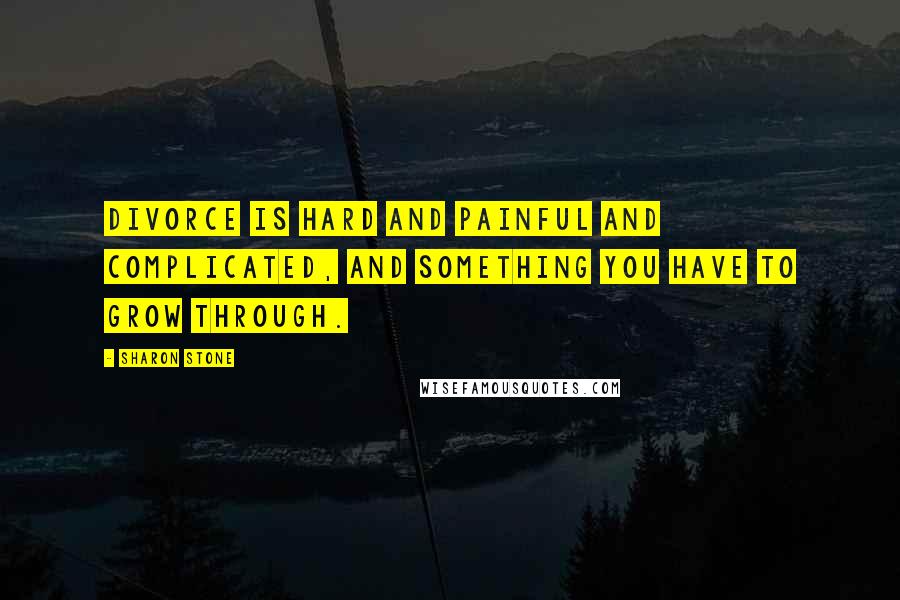 Sharon Stone Quotes: Divorce is hard and painful and complicated, and something you have to grow through.