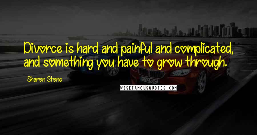 Sharon Stone Quotes: Divorce is hard and painful and complicated, and something you have to grow through.