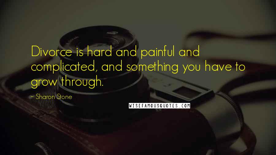 Sharon Stone Quotes: Divorce is hard and painful and complicated, and something you have to grow through.