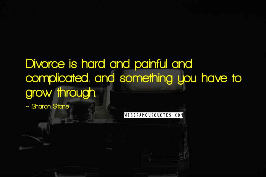 Sharon Stone Quotes: Divorce is hard and painful and complicated, and something you have to grow through.