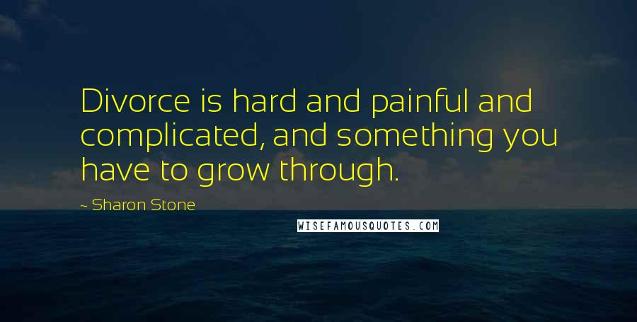 Sharon Stone Quotes: Divorce is hard and painful and complicated, and something you have to grow through.