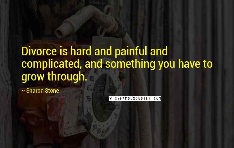 Sharon Stone Quotes: Divorce is hard and painful and complicated, and something you have to grow through.