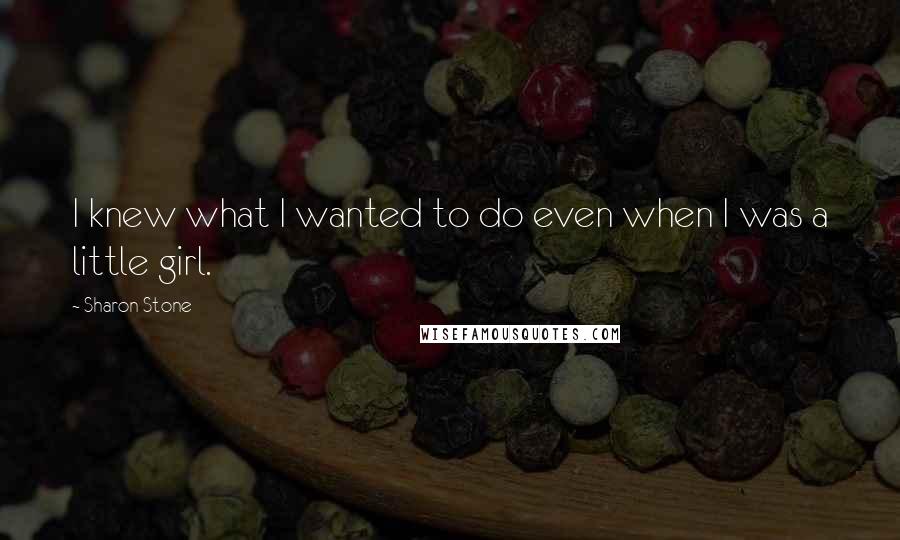 Sharon Stone Quotes: I knew what I wanted to do even when I was a little girl.