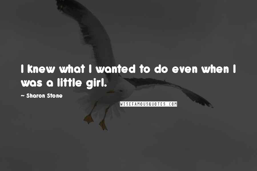 Sharon Stone Quotes: I knew what I wanted to do even when I was a little girl.