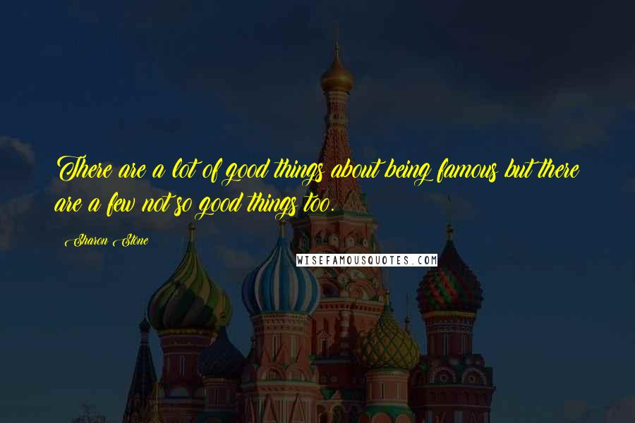 Sharon Stone Quotes: There are a lot of good things about being famous but there are a few not so good things too.