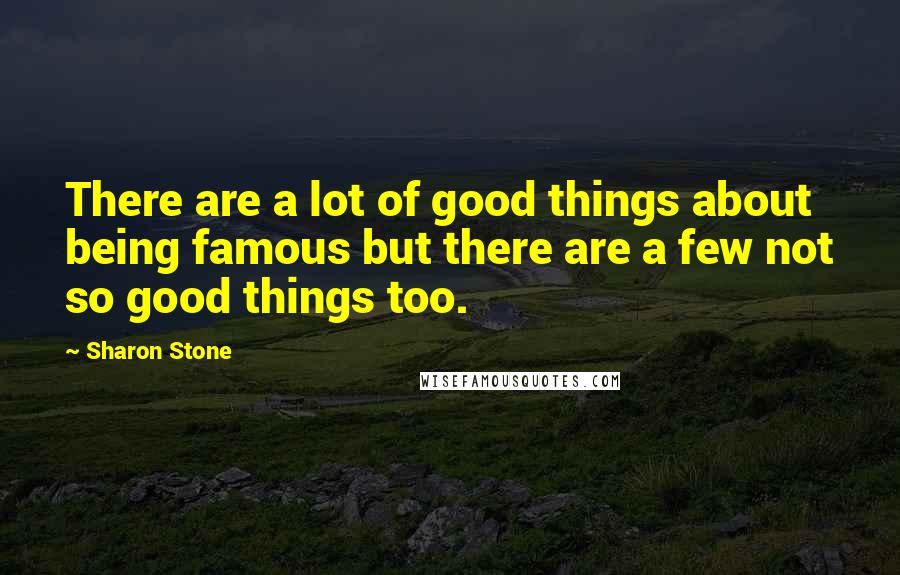 Sharon Stone Quotes: There are a lot of good things about being famous but there are a few not so good things too.