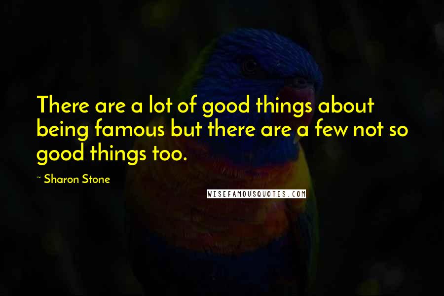 Sharon Stone Quotes: There are a lot of good things about being famous but there are a few not so good things too.