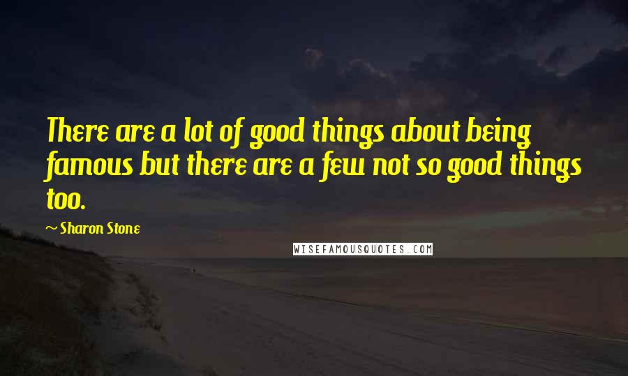 Sharon Stone Quotes: There are a lot of good things about being famous but there are a few not so good things too.