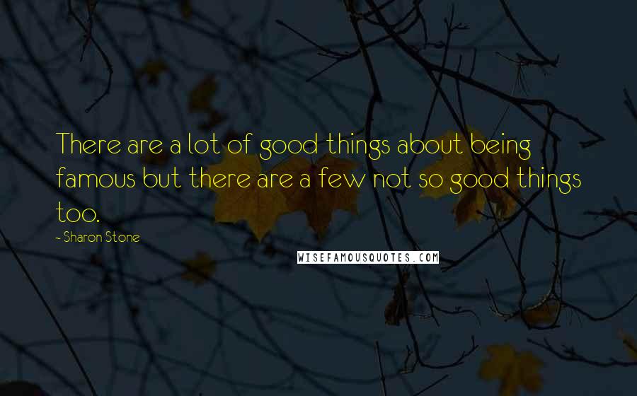 Sharon Stone Quotes: There are a lot of good things about being famous but there are a few not so good things too.