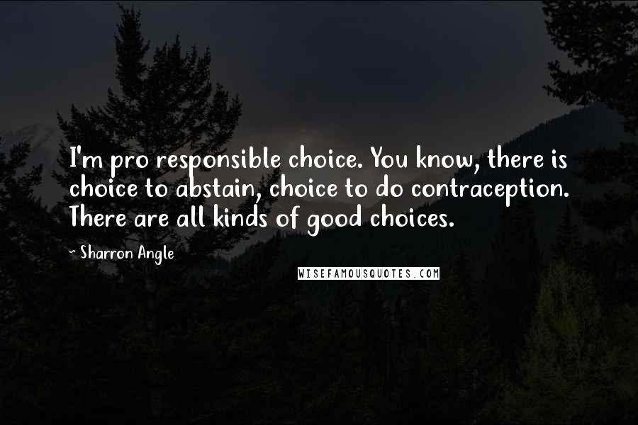 Sharron Angle Quotes: I'm pro responsible choice. You know, there is choice to abstain, choice to do contraception. There are all kinds of good choices.