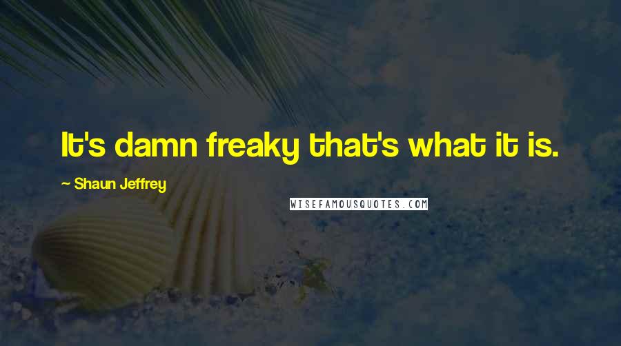 Shaun Jeffrey Quotes: It's damn freaky that's what it is.