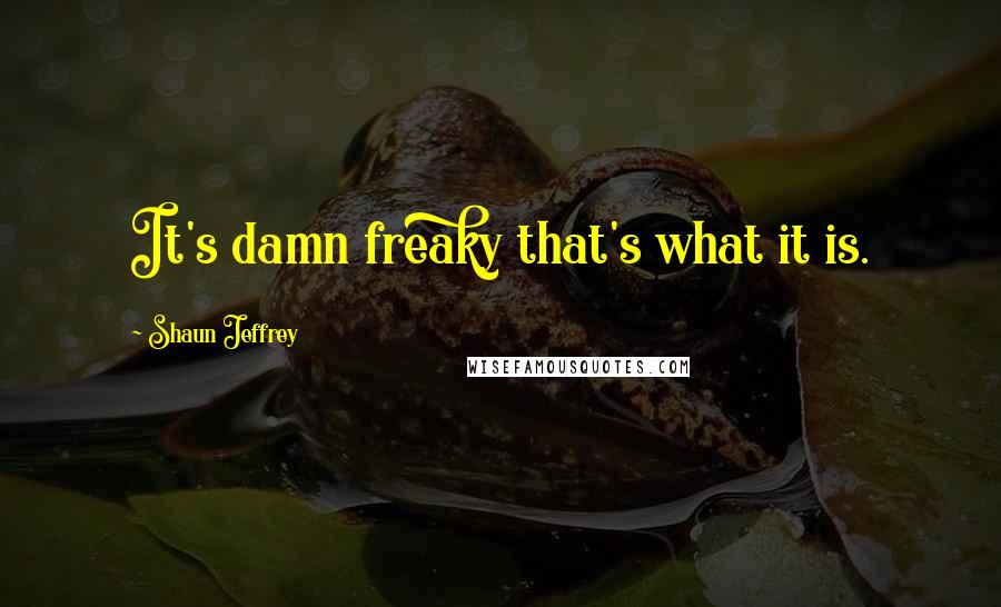 Shaun Jeffrey Quotes: It's damn freaky that's what it is.
