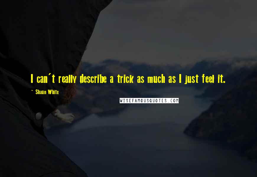 Shaun White Quotes: I can't really describe a trick as much as I just feel it.