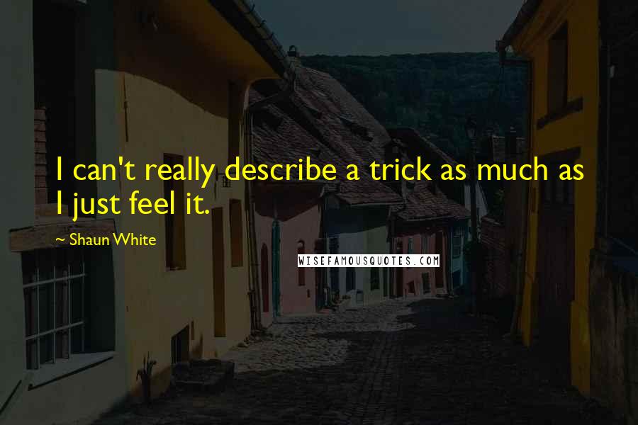 Shaun White Quotes: I can't really describe a trick as much as I just feel it.