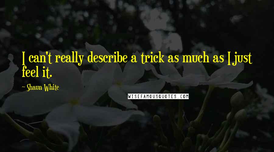 Shaun White Quotes: I can't really describe a trick as much as I just feel it.
