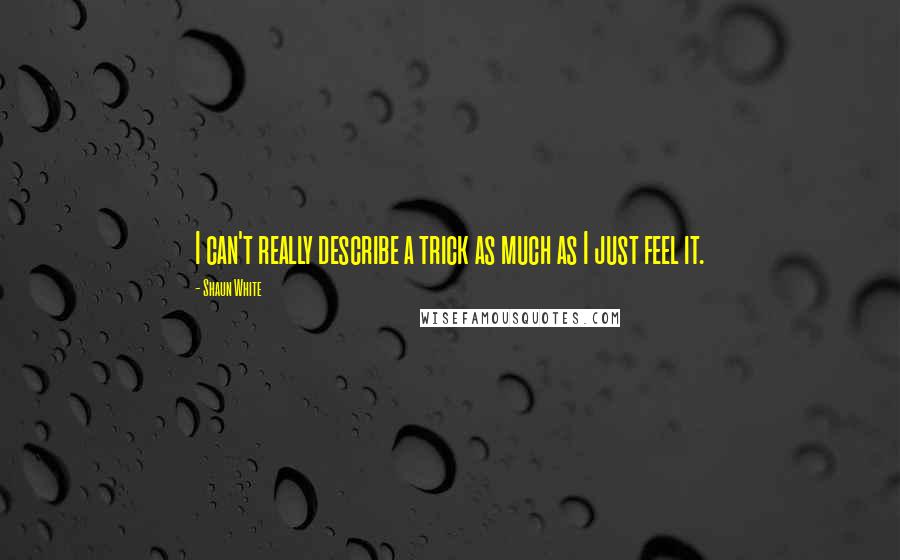 Shaun White Quotes: I can't really describe a trick as much as I just feel it.