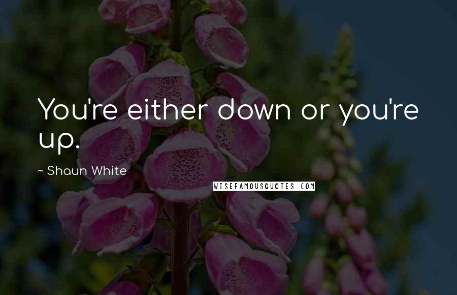 Shaun White Quotes: You're either down or you're up.