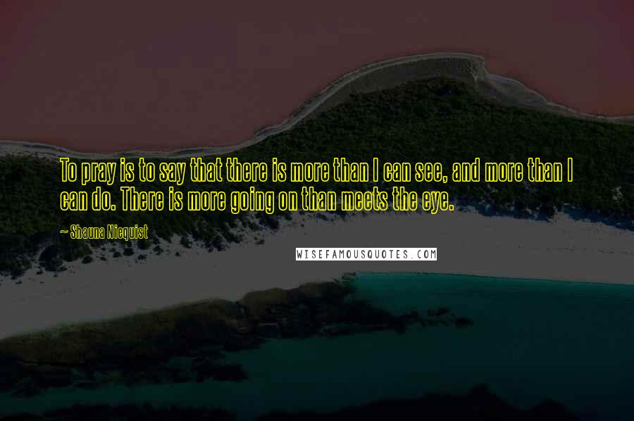 Shauna Niequist Quotes: To pray is to say that there is more than I can see, and more than I can do. There is more going on than meets the eye.