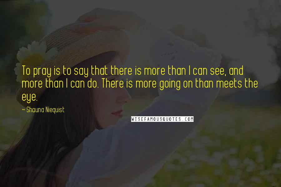 Shauna Niequist Quotes: To pray is to say that there is more than I can see, and more than I can do. There is more going on than meets the eye.