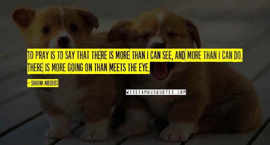 Shauna Niequist Quotes: To pray is to say that there is more than I can see, and more than I can do. There is more going on than meets the eye.