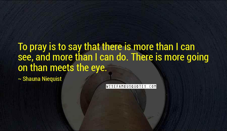 Shauna Niequist Quotes: To pray is to say that there is more than I can see, and more than I can do. There is more going on than meets the eye.