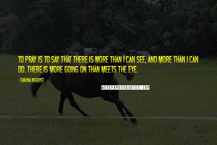 Shauna Niequist Quotes: To pray is to say that there is more than I can see, and more than I can do. There is more going on than meets the eye.