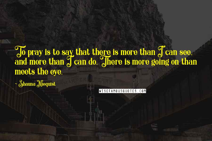 Shauna Niequist Quotes: To pray is to say that there is more than I can see, and more than I can do. There is more going on than meets the eye.
