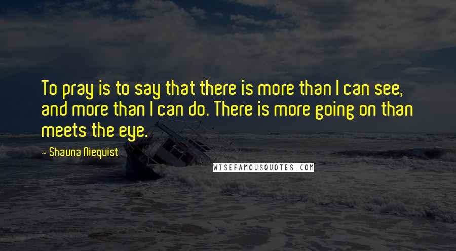 Shauna Niequist Quotes: To pray is to say that there is more than I can see, and more than I can do. There is more going on than meets the eye.