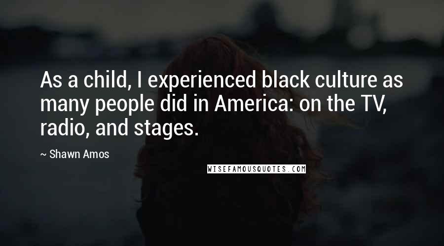 Shawn Amos Quotes: As a child, I experienced black culture as many people did in America: on the TV, radio, and stages.