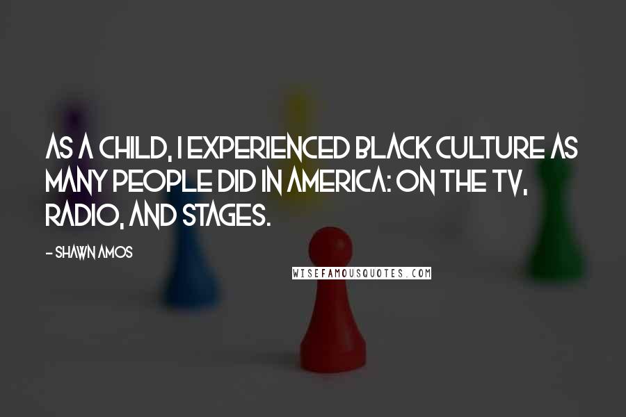 Shawn Amos Quotes: As a child, I experienced black culture as many people did in America: on the TV, radio, and stages.