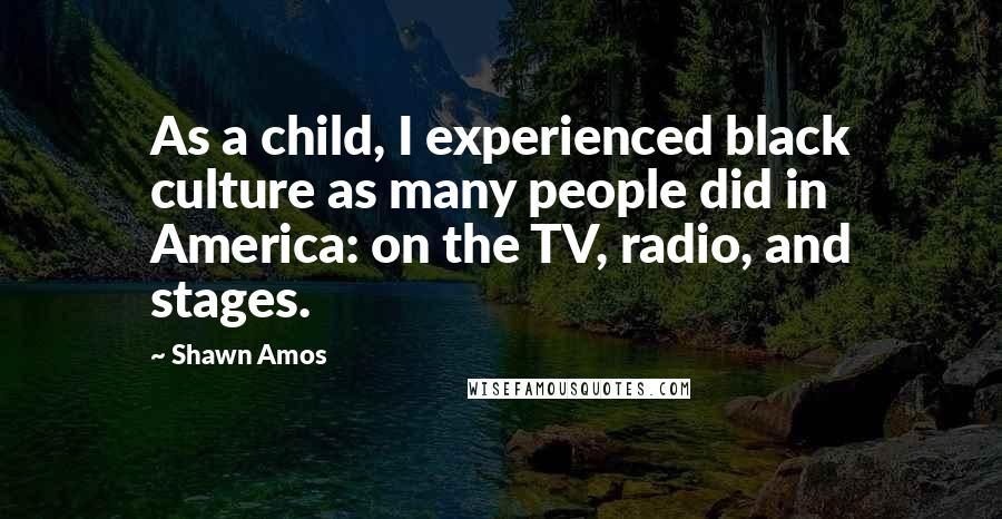 Shawn Amos Quotes: As a child, I experienced black culture as many people did in America: on the TV, radio, and stages.