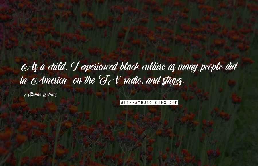 Shawn Amos Quotes: As a child, I experienced black culture as many people did in America: on the TV, radio, and stages.