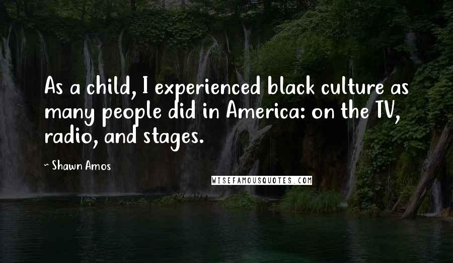 Shawn Amos Quotes: As a child, I experienced black culture as many people did in America: on the TV, radio, and stages.