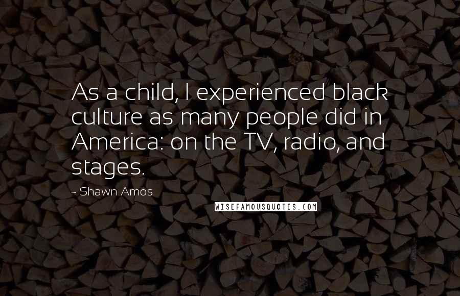 Shawn Amos Quotes: As a child, I experienced black culture as many people did in America: on the TV, radio, and stages.