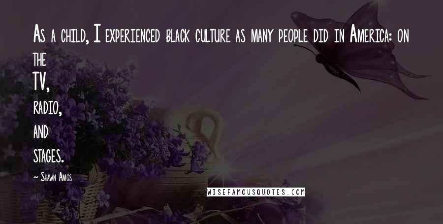 Shawn Amos Quotes: As a child, I experienced black culture as many people did in America: on the TV, radio, and stages.