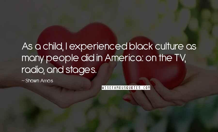 Shawn Amos Quotes: As a child, I experienced black culture as many people did in America: on the TV, radio, and stages.