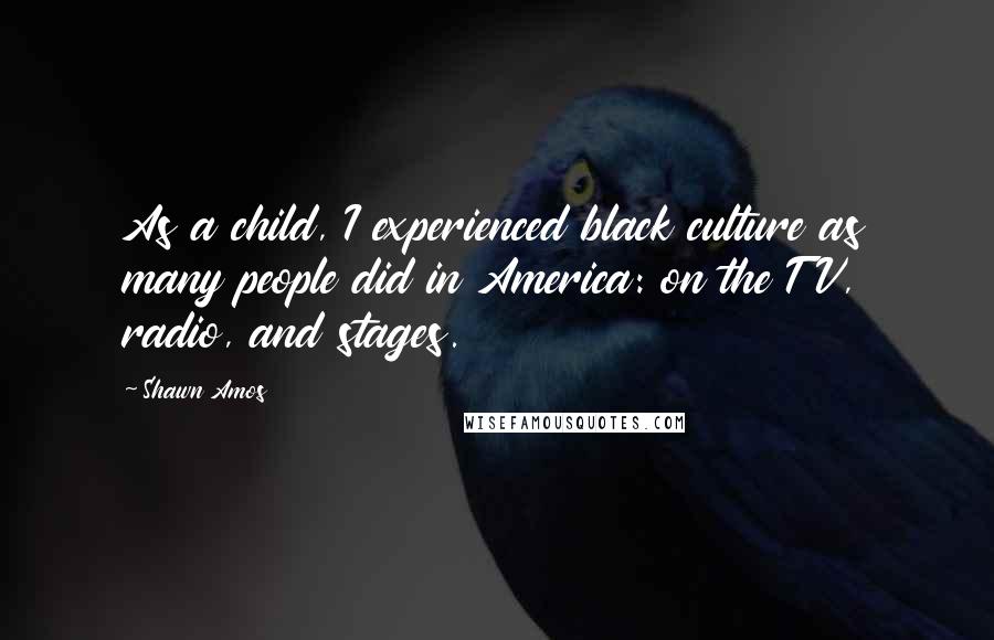 Shawn Amos Quotes: As a child, I experienced black culture as many people did in America: on the TV, radio, and stages.