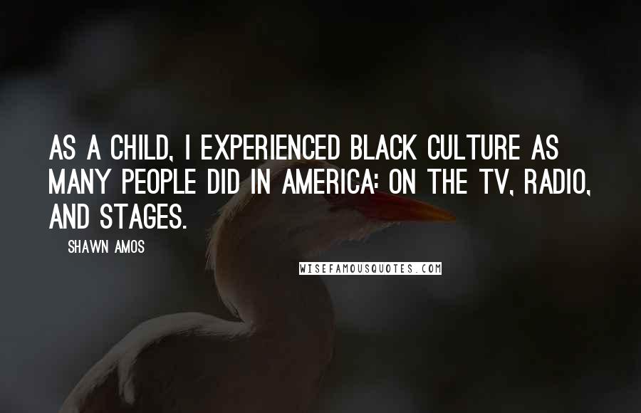 Shawn Amos Quotes: As a child, I experienced black culture as many people did in America: on the TV, radio, and stages.