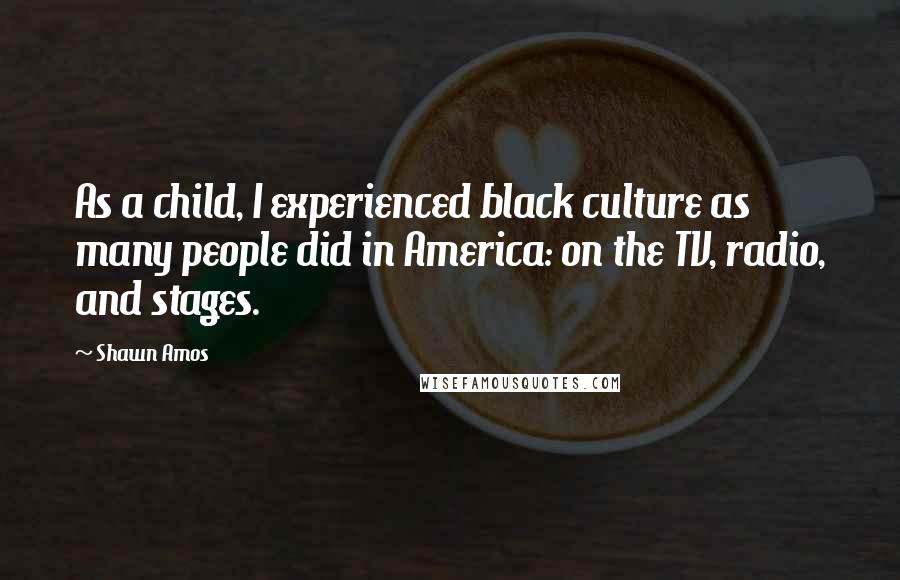 Shawn Amos Quotes: As a child, I experienced black culture as many people did in America: on the TV, radio, and stages.