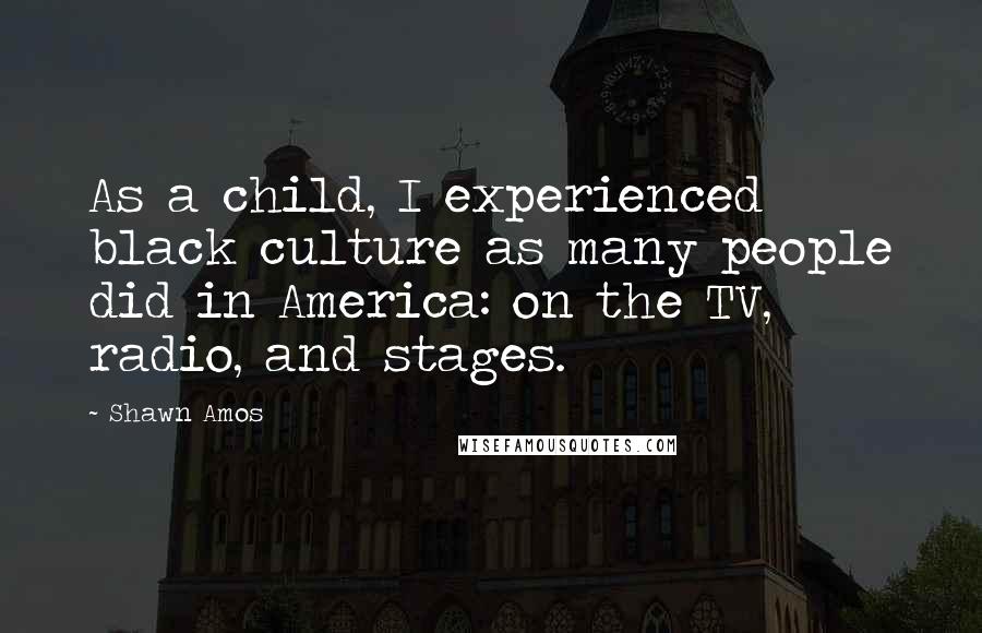 Shawn Amos Quotes: As a child, I experienced black culture as many people did in America: on the TV, radio, and stages.